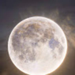 Meet your Posher, Gabby